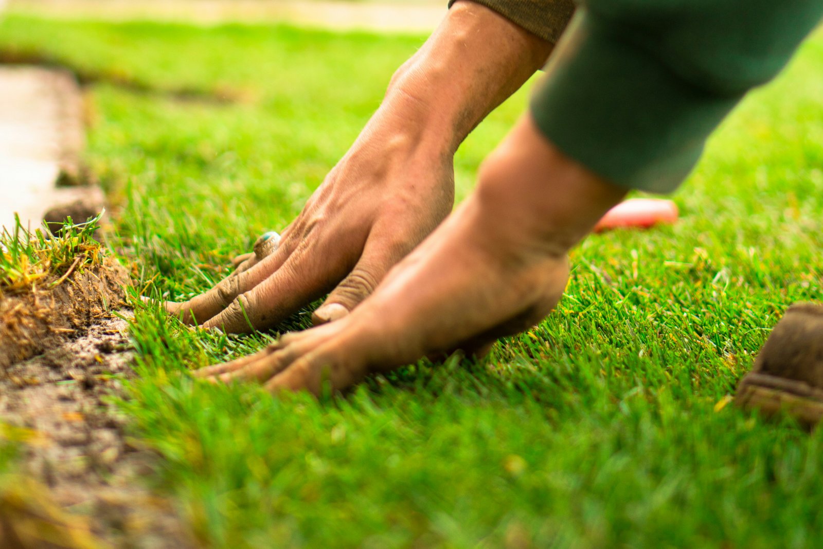 Sod installation Houston TX