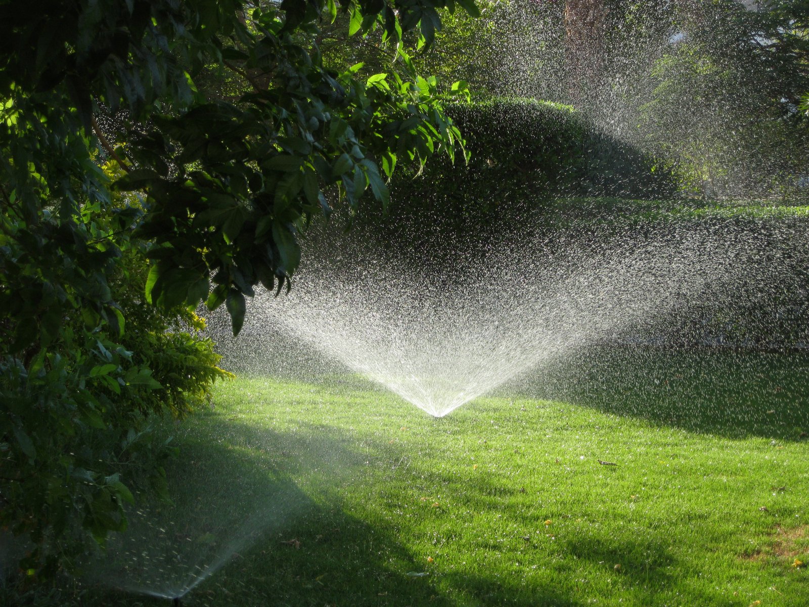 Rain Bird sprinkler system installation Houston TX